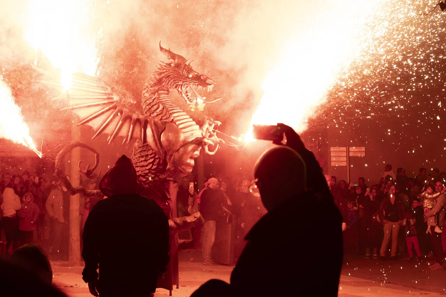 Cercavila del drac | © Alèxia Camó / Ajuntament de Torroella de Montgrí