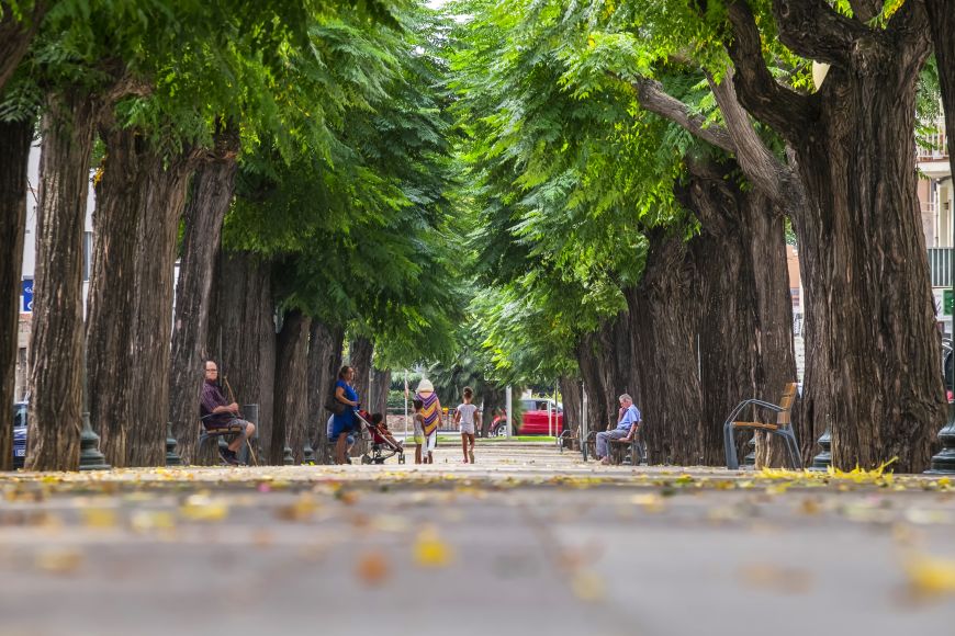 Passeig de Catalunya