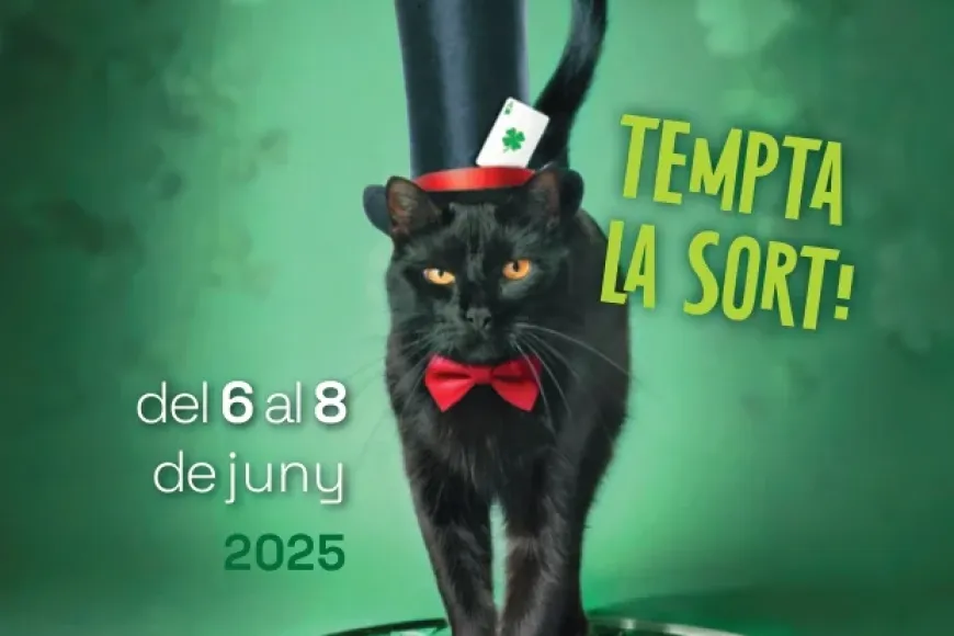 FIMAG 2025 FIMAG 2025