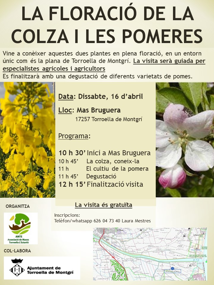 Visita a la floració de la colza i les pomeres