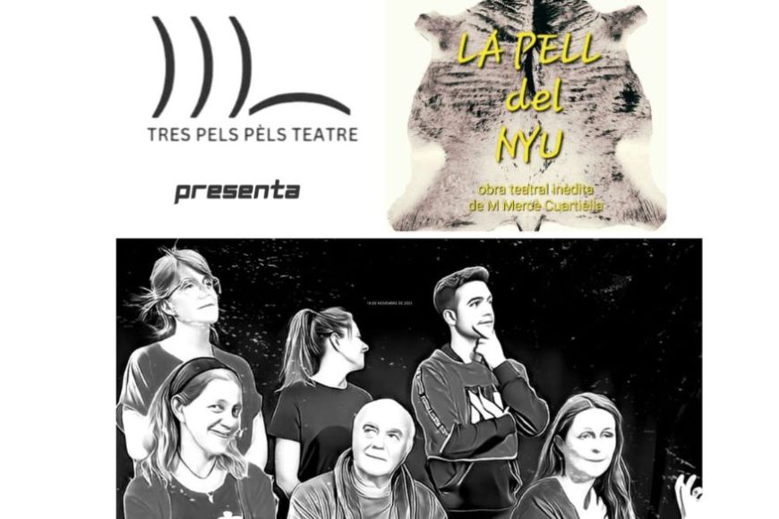 Cartell de l'obra de teatre la Pell del Nyu Cartell de l'obra de teatre la Pell del Nyu