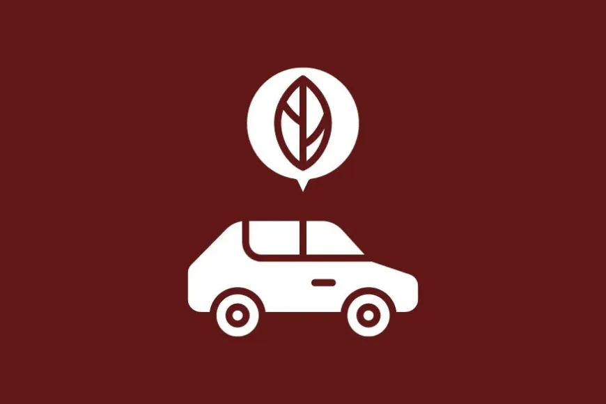 Mobilitat sostenible Mobilitat sostenible