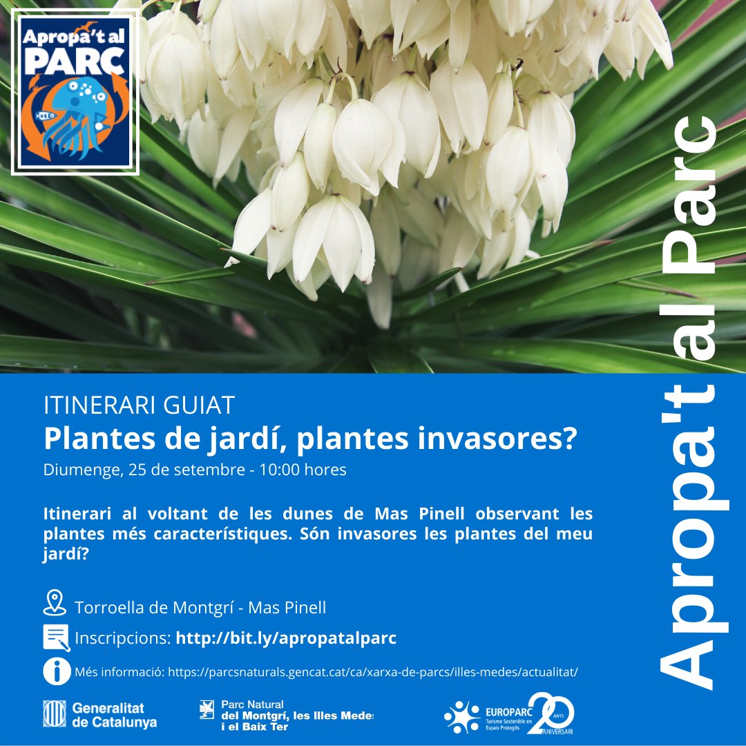 Plantes de jardi, plantes invasores