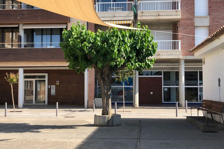 Plaça The Beatles l'Estartit | © Ajuntament de Torroella de Montgrí Plaça The Beatles l'Estartit | © Ajuntament de Torroella de Montgrí