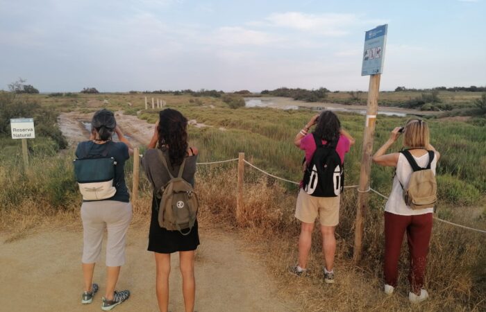 Pletera al capvespre