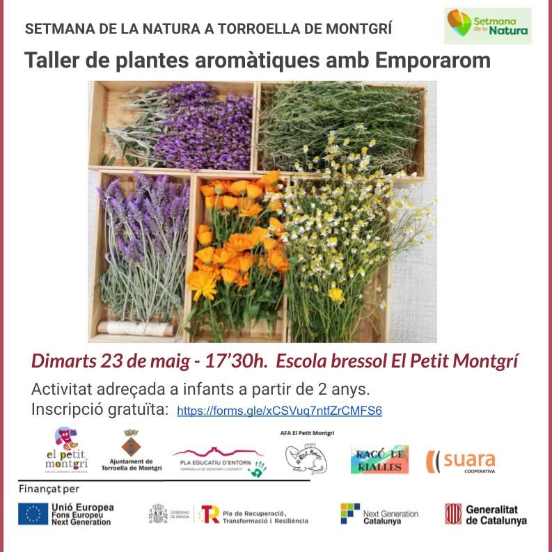 Taller plantes aromàtiques.