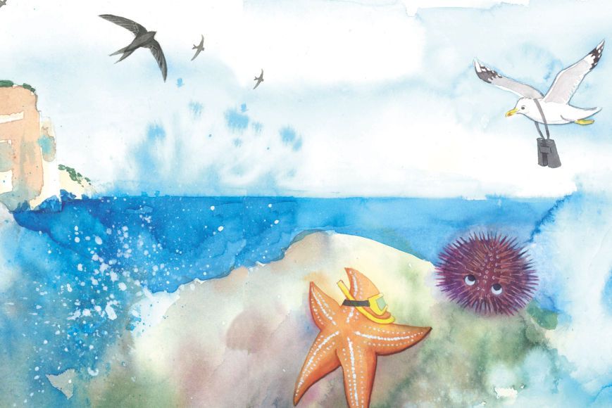 Cartell del projecte educatiu i turístic del patrimoni natural i pesquer a l’Estartit. Cartell del projecte educatiu i turístic del patrimoni natural i pesquer a l’Estartit.