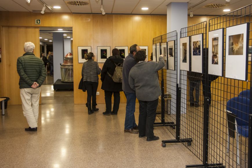 Sala d'exposicions de l'EM Sala d'exposicions de l'EM