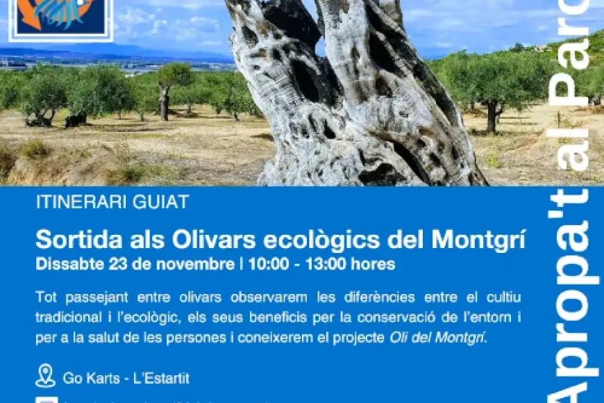 Sortida als olivars ecològics del Montgrí | © PNMMBT Sortida als olivars ecològics del Montgrí | © PNMMBT