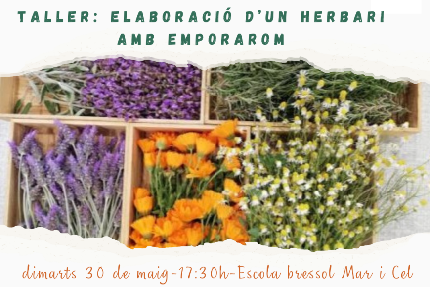 Taller elaboració d'un herbari Taller elaboració d'un herbari