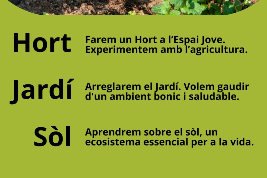 Horticultura 3 Horticultura 3